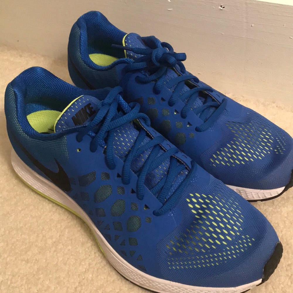Brand New Nike Air Pegasus 31